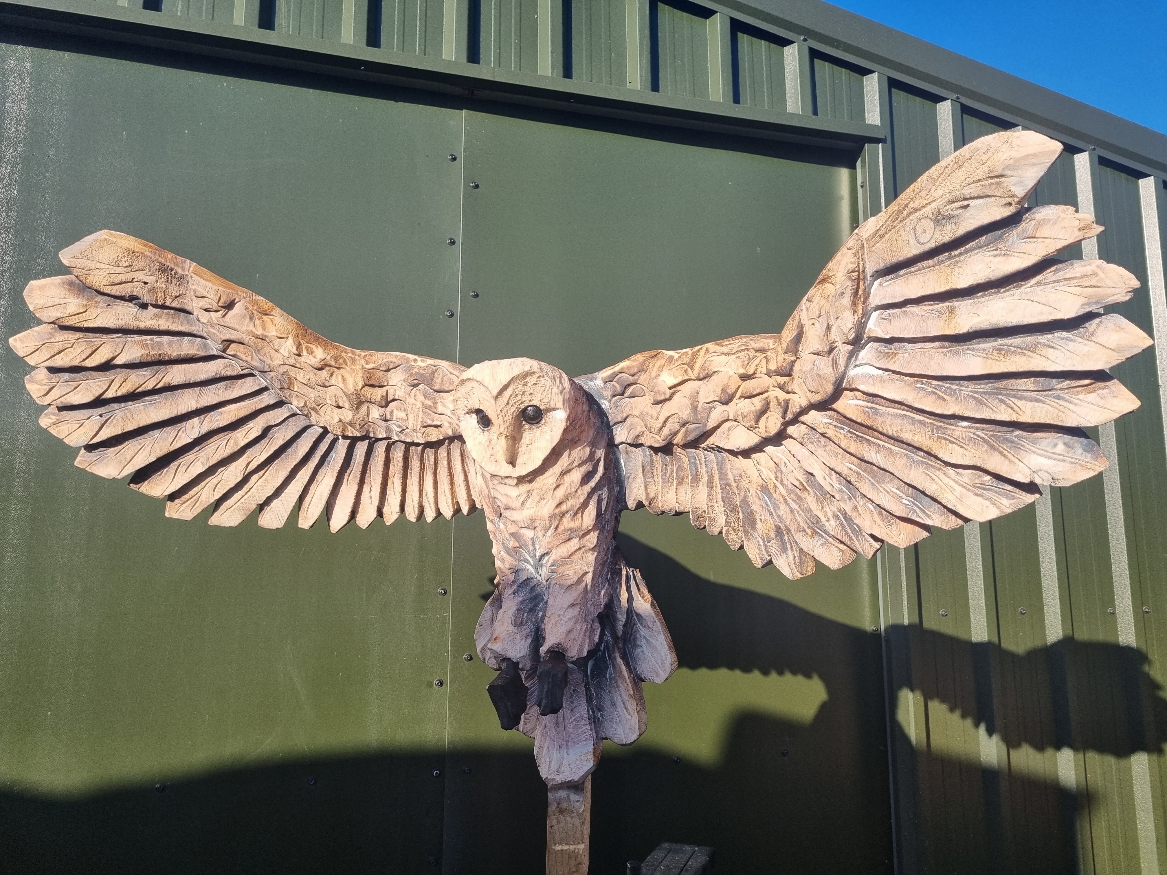 Barn Owl