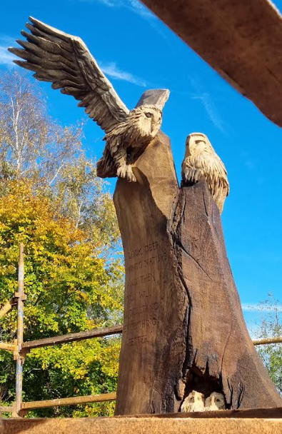 A Family of Barn Owls